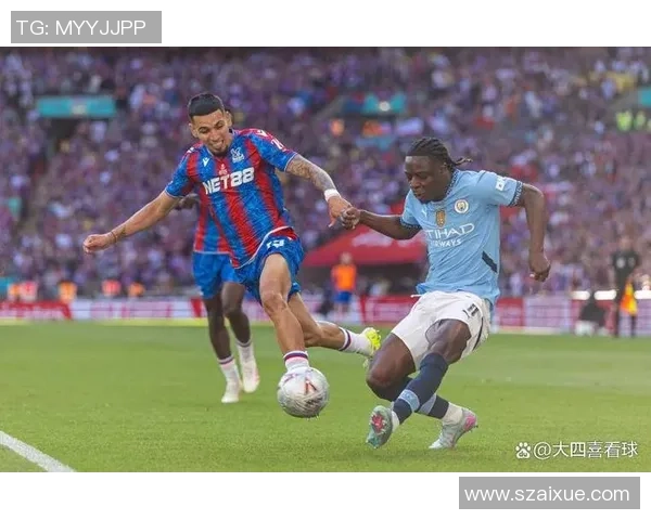 水晶宫主场迎战埃弗顿双方争夺英超宝贵积分之战